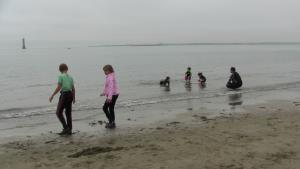 Fotografija 5 - Irska